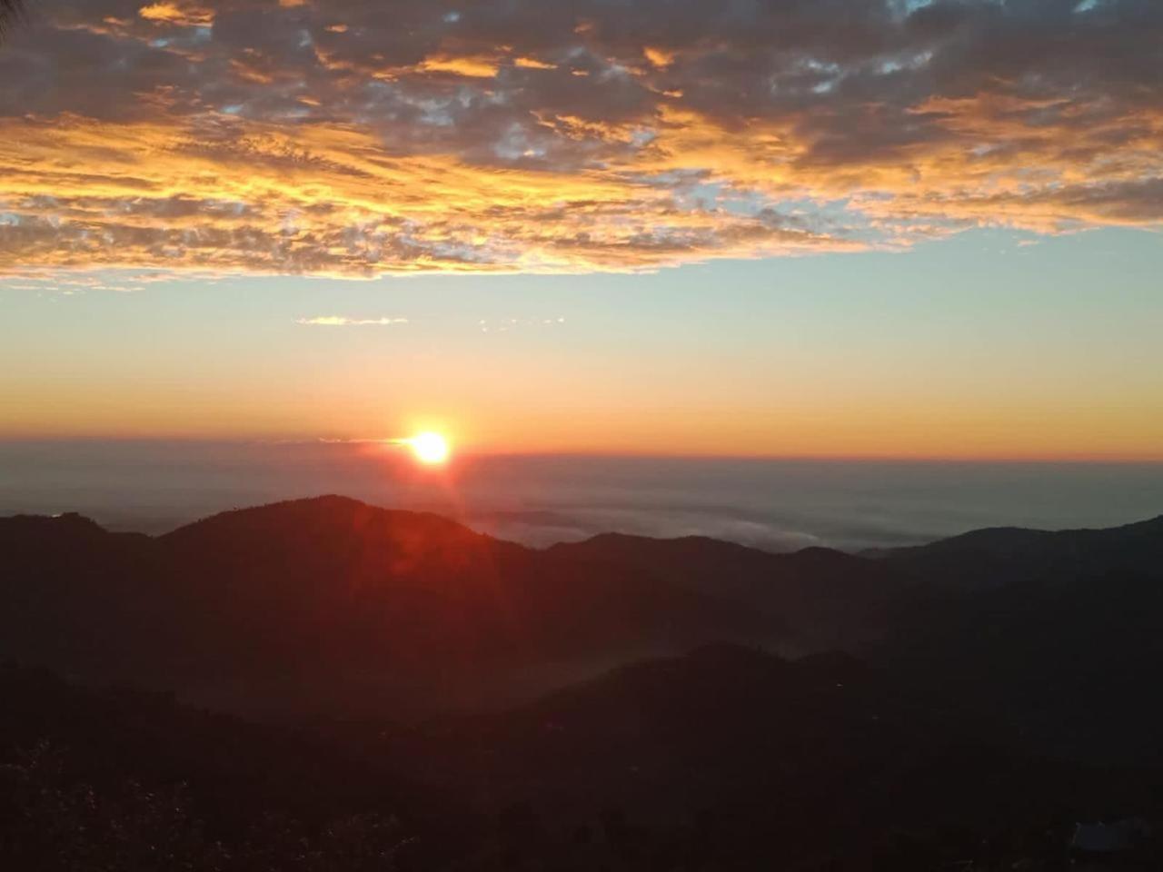 The Summer House Kasauli I Party & Music I Sky Bonfire I Managed By Exotic Stays Dış mekan fotoğraf
